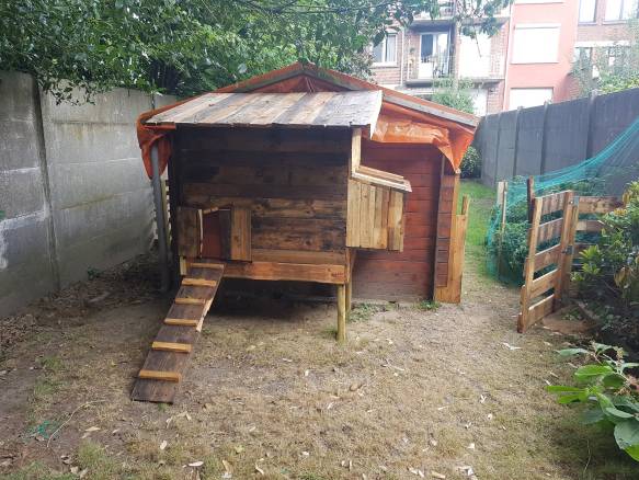 Photo of the finished coop